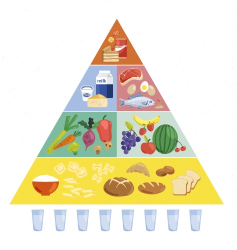 Pirâmide Alimentar