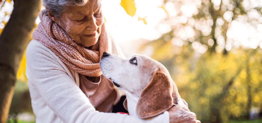 Mulher idosa com cão no exterior num parque verde